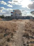2 Prime 1/4-Acre Plots in Kipeto - 3