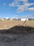 2 Prime 1/4-Acre Plots in Kipeto - 4
