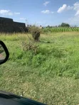 Kiwanja cha Pakawa Pipeline kwa Mauzo, Nakuru - 1