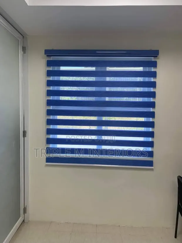 Blue Zebra Roller Blinds for Commercial Spaces - 1