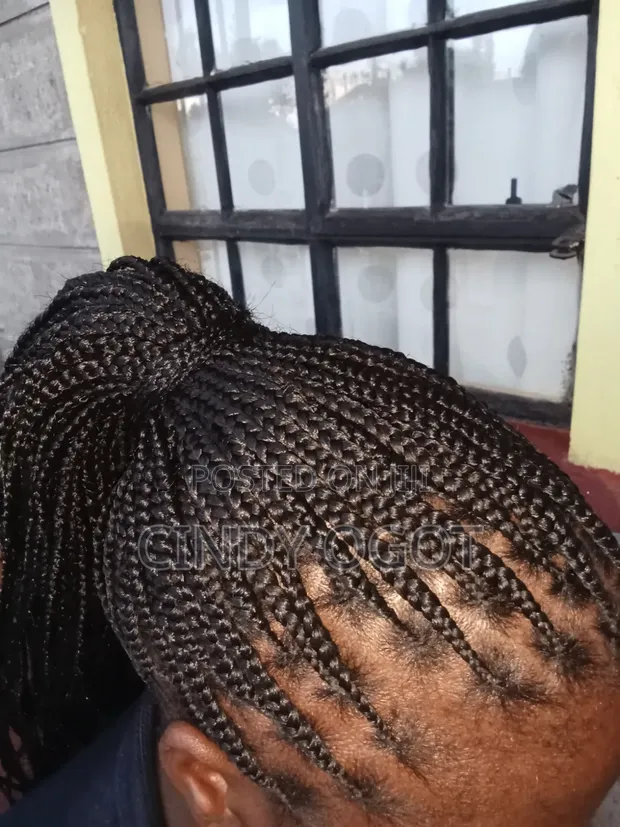 Mobile Hairdresser - Braids, Twists, Crotchet - 1