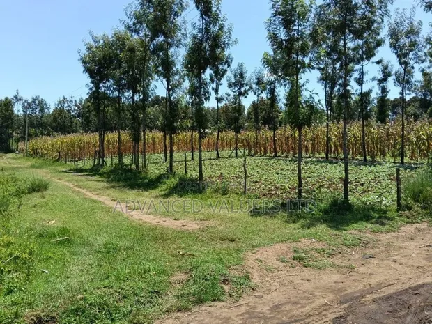 Ngata Ridge, Nakuru - Viwanja vya 1/8 Eka - 1