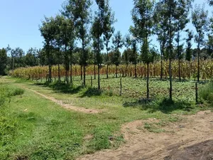 Ngata Ridge, Nakuru - Viwanja vya 1/8 Eka