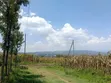 Ngata Ridge, Nakuru - 1/8 Acre Plots - 2