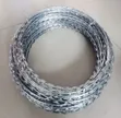 Galvanized Razor Wire - Mita 7 - 1