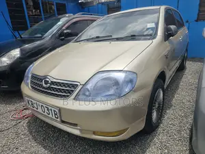 Toyota Corolla RunX 2006 Dhahabu