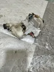 Nissan Door Lock - Used - 2