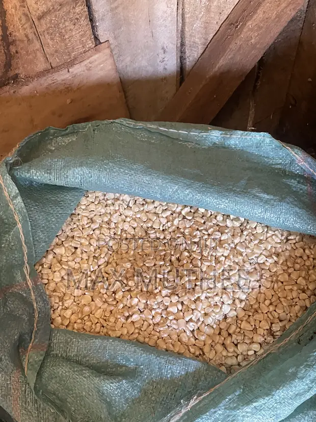 Mzigo wa Mahindi 90kg - 1