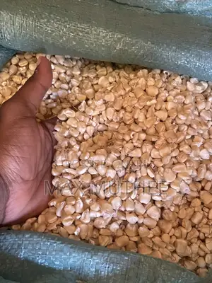 Mzigo wa Mahindi 90kg