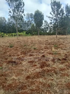 1 Acre Land for Sale in Thika - Maguguni