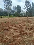 Eneo la Ekari 1 Linauzwa Thika - Maguguni - 1