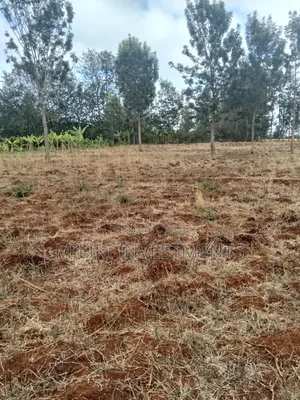 Eneo la Ekari 1 Linauzwa Thika - Maguguni