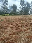 Eneo la Ekari 1 Linauzwa Thika - Maguguni - 2