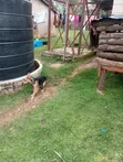 Ardhi ya Biashara Kamagambo Inauzwa - 2