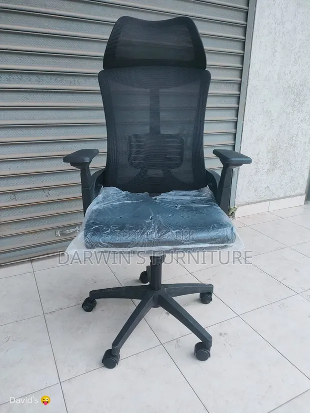 Boss Office Products Orthopedic Office Chair - Brand New - 1