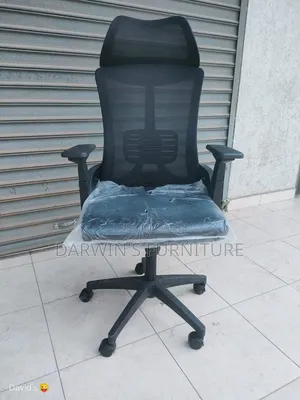 Boss Office Products Orthopedic Office Chair - Brand New