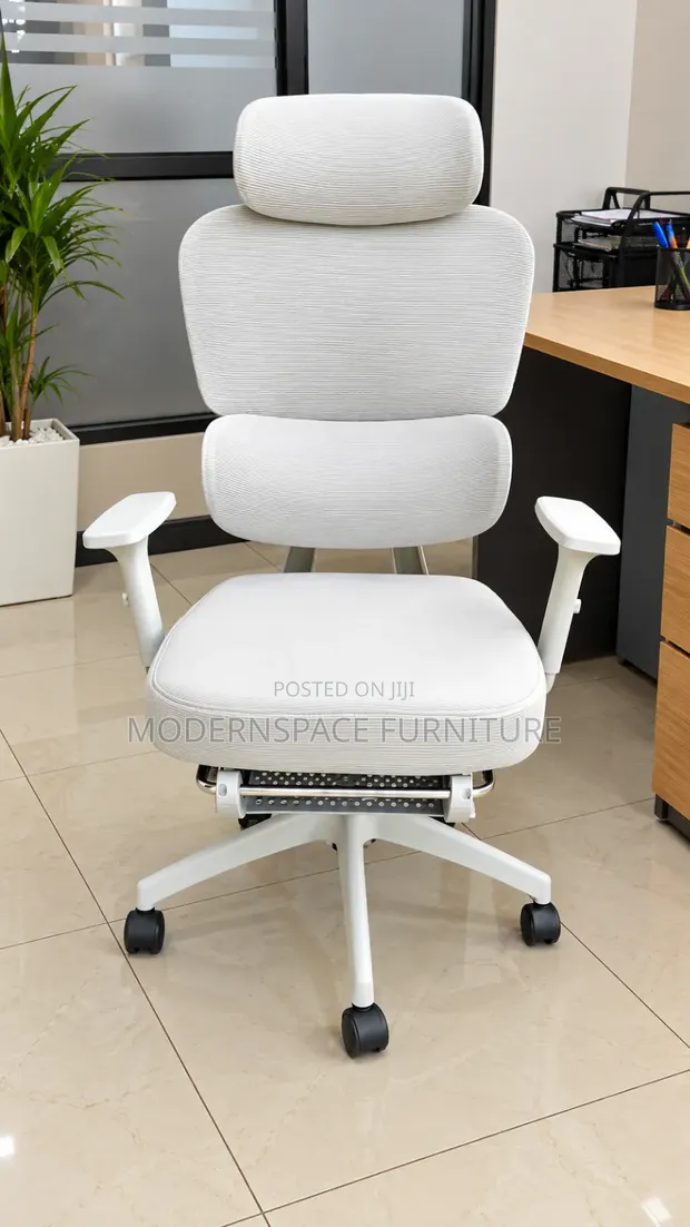 Kiti cha Ofisi cha Ergonomic cha Premium chenye Mguu - Nyeupe/Kijivu - 1