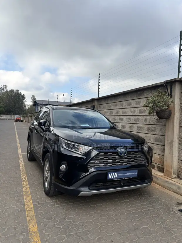 Toyota RAV4 2019 Hybrid Black - 1