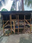 Newly Built Chicken Cage - 1