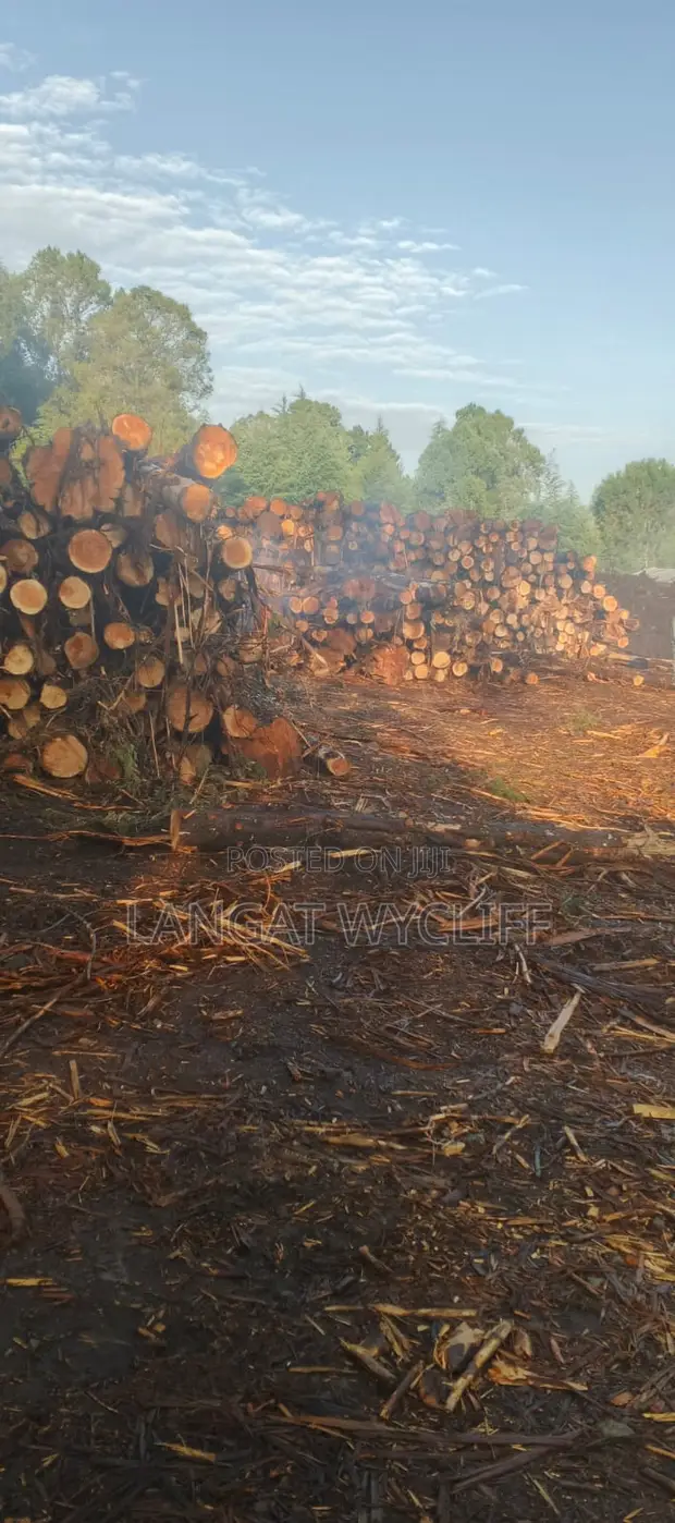 Legacy Wood Designs - Makazi na Biashara - 1