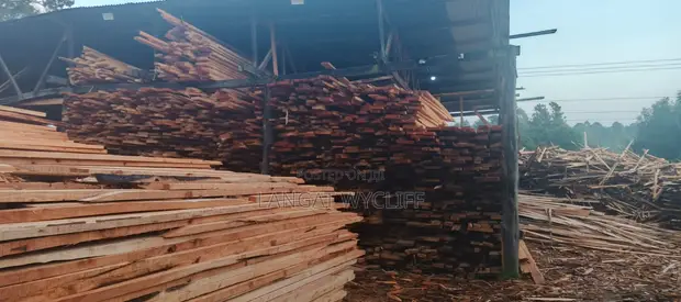 Timber Trails - Organic Construction Materials - 1
