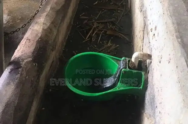 Kinywaji cha Ng'ombe cha Plastiki - Kipya Kabisa - 1