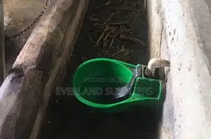 Kinywaji cha Ng'ombe cha Plastiki - Kipya Kabisa
