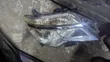 Mwangaza wa Nissan Serena C26 (Si Xenon) - 3