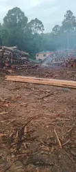 Grained Timber - 1