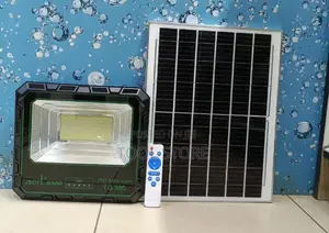 TG 300W Solar Floodlight