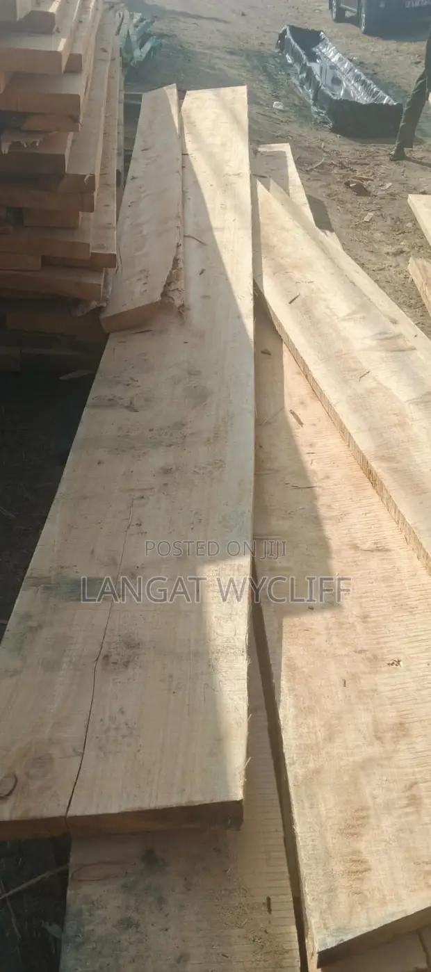 Planks and Wood (4x2 & 4x1) - 1