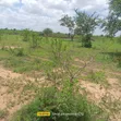 Eneo la Ekari 3.7 kwa Mauzo Baolala, Malindi - 3