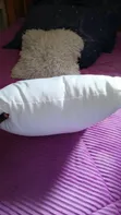 Brand New Cozy Throw Pillows - 1