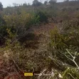 24 Acres Mixed-Use Land for Sale in Sosobora, Malindi - 2