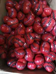 Soapstone Art & Craft Handcrafted - 4