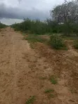 Ekari 5 za Ardhi kwa Uuzaji Bombi, Malindi - 3