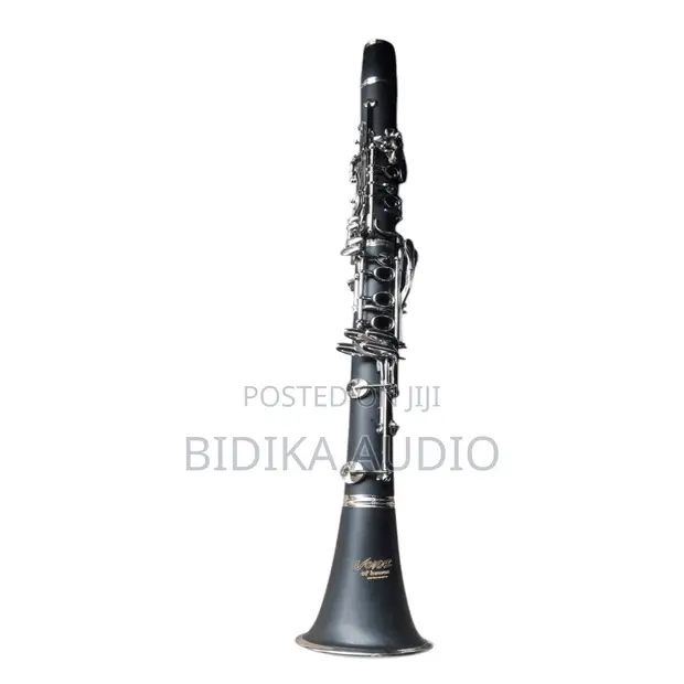 Voice of Heaven Professional B-Flat Clarinet - 1