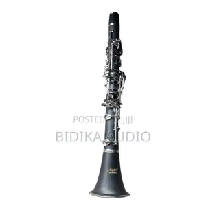 Voice of Heaven Professional B-Flat Clarinet