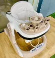 4-in-1 Walker ya Mtoto inayobebeka na Muziki - 3