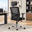 Orthopedic Manager's Mesh Office Chair - Brown - 1