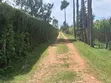 Vitia Vya Kujenga Tayari, Outspan Eldoret - 2
