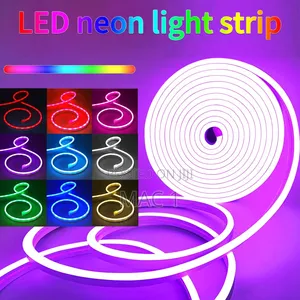 Nuru ya Kamba ya Neon ya LED ya RGB-IC yenye Kidhibiti