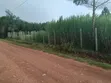 Angani Estate, Royalton - Mji wa Eldoret - 3