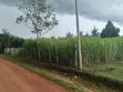 Angani Estate, Royalton - Mji wa Eldoret - 5