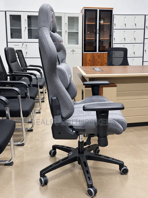 Premium Executive Ergonomic Office Chair - 1