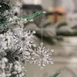 Vipodozi vya Krismasi vya Vipande 6 vya Crystal Snowflake - 5