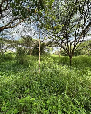 Ardhi Inauzwa Kilimani & Kileleshwa