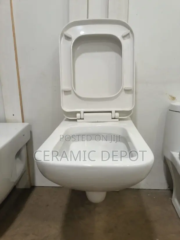 Grand Sanito GS 19 Wall-Hung WC Toilet with Seat & Cover - 1