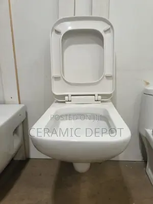 Grand Sanito GS 19 Wall-Hung WC Toilet with Seat & Cover
