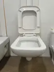 Grand Sanito GS 19 Wall-Hung WC Toilet with Seat & Cover - 1